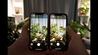 Comment améliorer sa qualité dappareil photo et vidéo sur son iPhone [upl. by Hahsi]