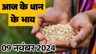 Dhan ka bhav 9 NOVEMBER 2024  Paddy rates today धान paddyrates2024 [upl. by Sheelagh]