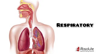 Respiratory CPT Medical Coding for the CPC and CCS Exams  Rereleased [upl. by Odraboel]