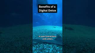 Digital Detox for Better Relationships [upl. by Karyn510]