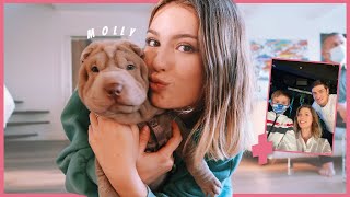 Encore un VLOG  On a adopté un chiot  Gabi rencontre Claude [upl. by Alene]