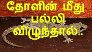 தோளின் மீது பல்லி விழுந்தால் [upl. by Athalie]