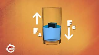 2mn pour comprendre LA POUSSEE DARCHIMEDE du 17 Avril 2020 [upl. by Nosloc]