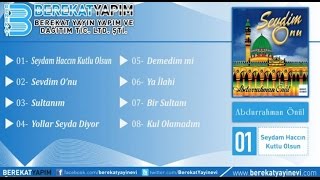 Abdurrahman Önül  Demedim mi [upl. by Hanonew476]