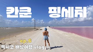 B travel  칸쿤 핑세치투어 • 핑크라군 • 익킬세노떼 • 치첸이사  3주간의 멕시코 배낭여행 Ep6 🇲🇽 [upl. by Eeliram615]