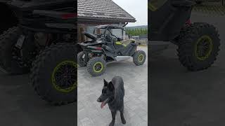 Cf Moto ZForce 1000 Sport R vs ZForce 950 Sport 🔥 dealercfmoto utv ssv offroad 4x4 cfmoto [upl. by Bern251]