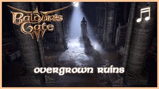 BALDURS GATE 3 Refectory Music  Overgrown Ruins  Unofficial Soundtrack [upl. by Huebner640]