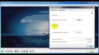 Tutorial sincronizzazione quotal voloquotsottotitoli o audio con vlc [upl. by Ytirev]