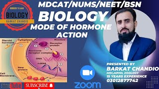 MDCAT  Chemical Coordination  Lecture02  Mode Of Hormone Action  Signal Transduction [upl. by Dorotea]