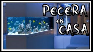 IDEAS PARA COLOCAR UNA PECERA EN CASA [upl. by Rifkin721]