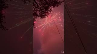 Sri Krishna Fireworks Wild Wolf 5” fireworks crackers sivakasi diwali skyshot shorts asmr [upl. by Yhtnomit]