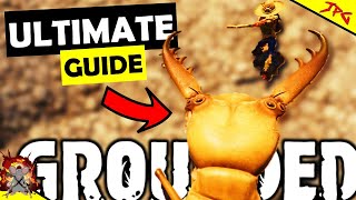 GROUNDED Hot And Hazey  ANTLIONS GUIDE  Best Way To Beat Them AntLion ArmourWeapons Tips [upl. by Lleznod525]