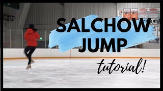 Salchow Jump  Figure Skating Lessons [upl. by Etteniotnna]