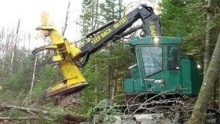 TimberJack Feller Buncher 608S [upl. by Euh]