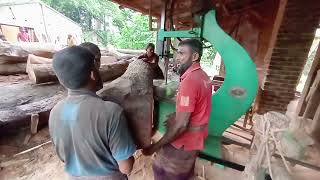 The monster Mahogany Log Sawmilling Amazing Big Old Sawmill  Wood Cutting Factory [upl. by Solracnauj]