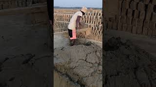 Clay supply system for manual brick making shorts [upl. by Galina]