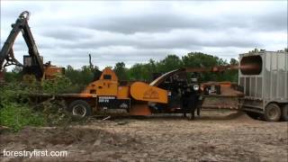 South Carolina Fuel Chipping and Logging Operation Part 2 of 2 [upl. by Niuq201]