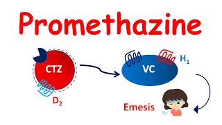 Promethazine tablets  Mechanism Precautions side effects amp uses [upl. by Zebada]