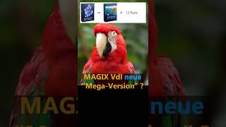 MAGIX Video deluxe 2024 Ultimate die neue quotMegaquot Version [upl. by Lambrecht]