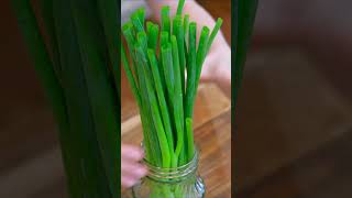 How to Keep Scallions Green and Fresh for a Month in the Fridge [upl. by Solberg]