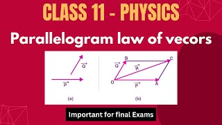 Parallelogram Law of vector addition  Class 11 Physics  Vectors [upl. by Edgardo]