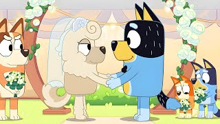 10 Bluey Episodes That Were Extremely Unnecessary [upl. by Ahsimal]