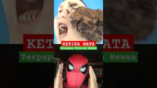 KETIKA MATA TERKENA KOTORAN HEWAN physics science education zackdfilms [upl. by Armilda]