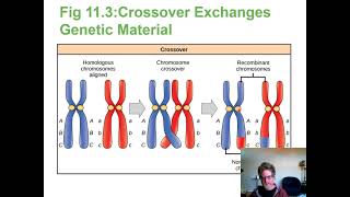 Ch11 Meiosis Narration Bio 181 [upl. by Madriene874]