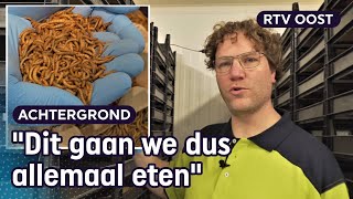 Dankzij Wouter eet iedereen straks meelwormen uit Overijssel  RTV Oost [upl. by Tenej]