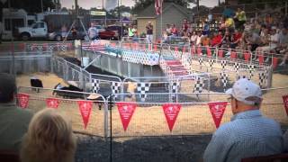 Pig Races at The Allentown Fair [upl. by Maleki]