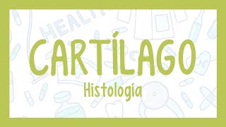 CARTÍLAGO ¡Fácil explicación Histología [upl. by Katrine74]