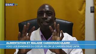 LE COEUR ET LES MALADIES CARDIOVASCULAIRES [upl. by Eanert]