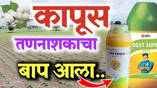 कपाशीवरील उगवणीपूर्वी तणनाशक  Dost Supar  Panida Garnde Pendimethalin 30EC  Cotton Herbicide [upl. by Regine]