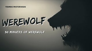 30 Minutes of Werewolf Suspense and Terror [upl. by Ammadis]