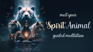 Meet Your Spirit Animal Guided Meditation [upl. by Hannan705]