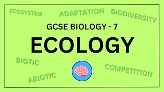 AQA GCSE Biology in 10 Minutes  Topic 7  Ecology [upl. by Ymij342]