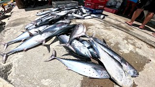 PESCA BOA EM ARRAIAL DO CABO 031124 [upl. by Esorlatsyrc709]