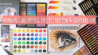 Mungyo Gallery Oil Pastel Swatch Review Painting amp Comparison with Pentel Paul Rubens amp Sennelier [upl. by Ahseneuq]