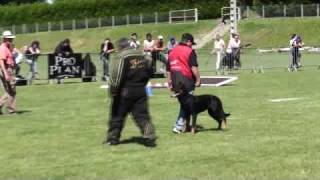 Beauceron Nationale d Elevage 2009 Ring 3 2 partie [upl. by Eniahs319]