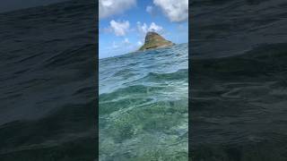 Omg Watch till the end at Chinaman’s Hat Island adventure hawaii aloha amazing travel tourism [upl. by Yaresed330]