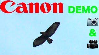 Canon Powershot SX420 IS  Demo Foto amp Video HD [upl. by Yeltnerb19]