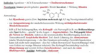 Autonomes Nervensystem 11 Parasympathomimetika direkte und indirekte  Pharmakologie [upl. by Eenyaj279]