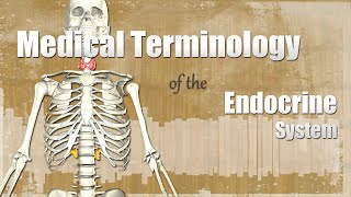 Medical Terminology of the Endocrine System [upl. by Meer]