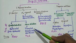 Classification of Glaucoma Drugs [upl. by Teplica152]