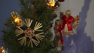 Ukrainische Familie feiert erstes orthodoxes Weihnachtsfest in neuer Heimat Österreich  AFP [upl. by Seavir610]