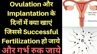 Foods Items To support Fertilizationखाद्य पदार्थ निषेचन का समर्थन करने के लिए heenahealth [upl. by Caputo394]