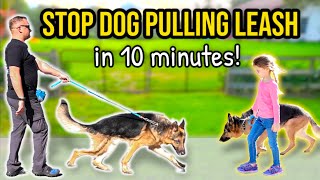 HOW TO STOP DOG PULLING ON LEASH  10 minutes to quotPerfect Walkquot Guaranteed [upl. by Kurtz734]