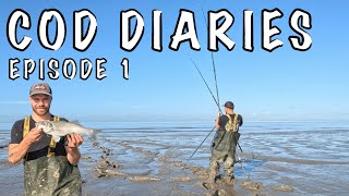 COD DIARIES PART 1  shore fishing for cod on the Bristol Channel [upl. by Adohr]