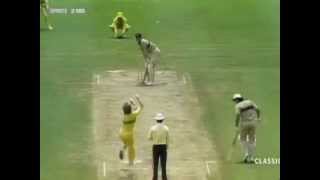 Simon Davis bowls Martin Crowe 1988 at SCG [upl. by Nnylyahs]