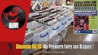 🎼 Vinyl Still Alive  Ma première Foire aux Disques [upl. by Adle513]